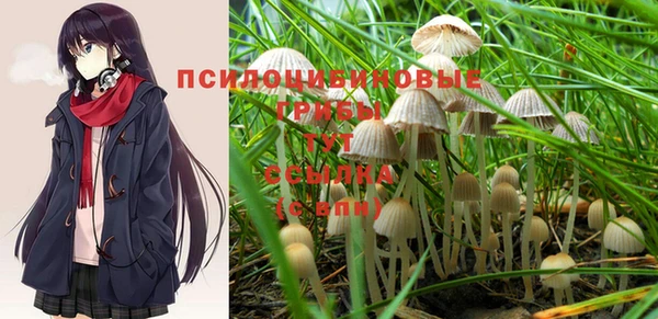 ПСИЛОЦИБИНОВЫЕ ГРИБЫ Балахна