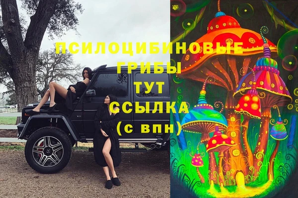 ПСИЛОЦИБИНОВЫЕ ГРИБЫ Балахна